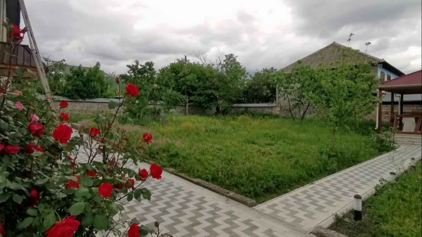 Bereket Villa And Aparts Габала Экстерьер фото
